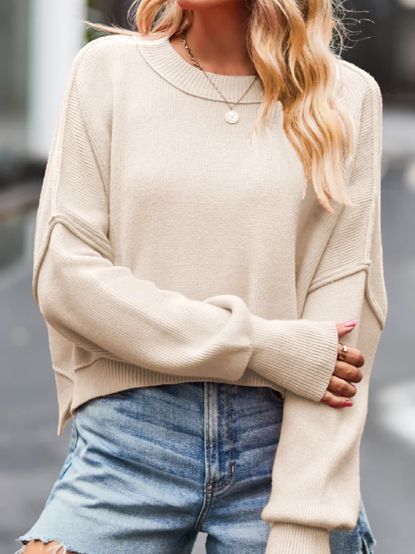 Women's Spring/Fall Plain Casual Long Sleeve Crew Neck Sweater