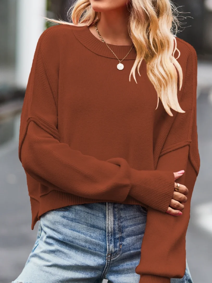 Women's Spring/Fall Plain Casual Long Sleeve Crew Neck Sweater