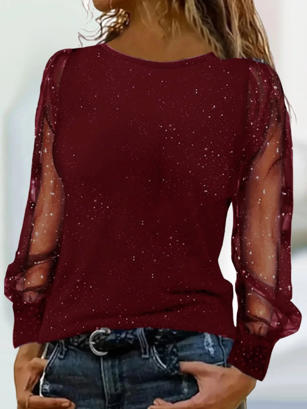 Women's Long Sleeve Blouse Spring/Fall Plain Mesh Crew Neck Daily Going Out Casual Top