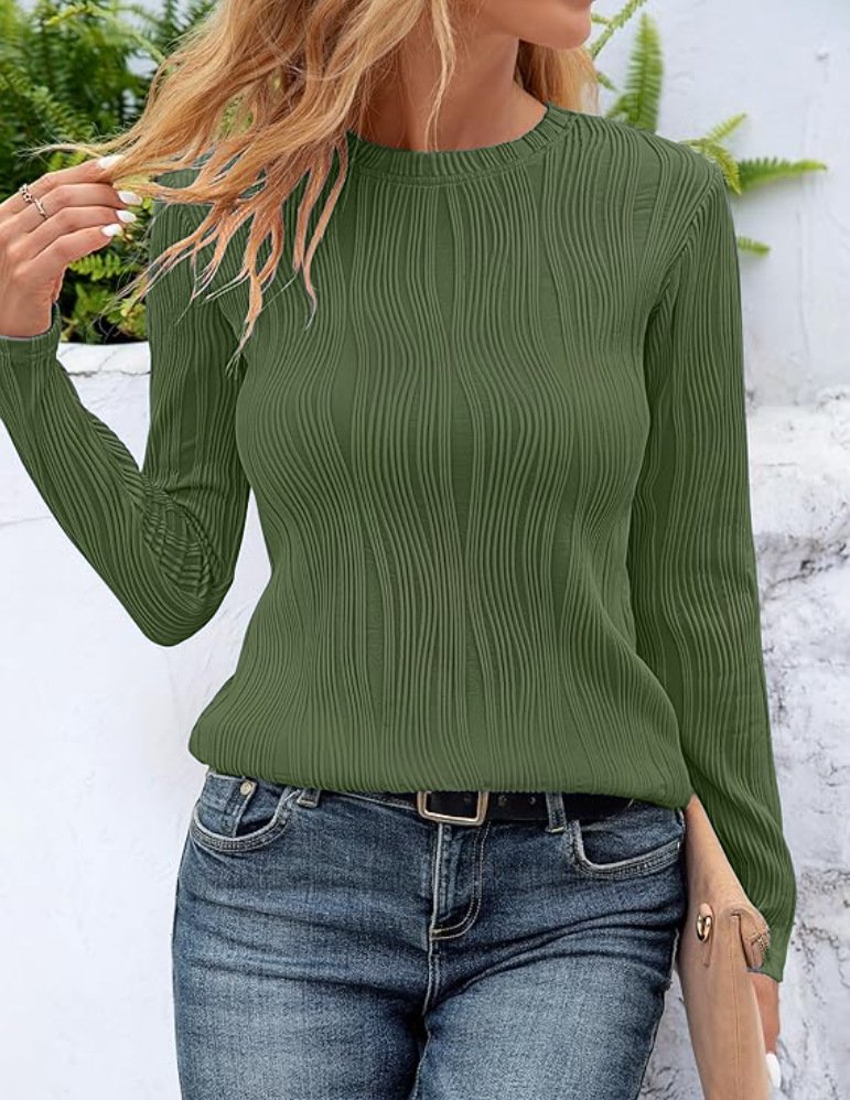 Women's Long Sleeve Blouse Spring/Fall Plain Crew Neck Daily Going Out Casual Top Apricot