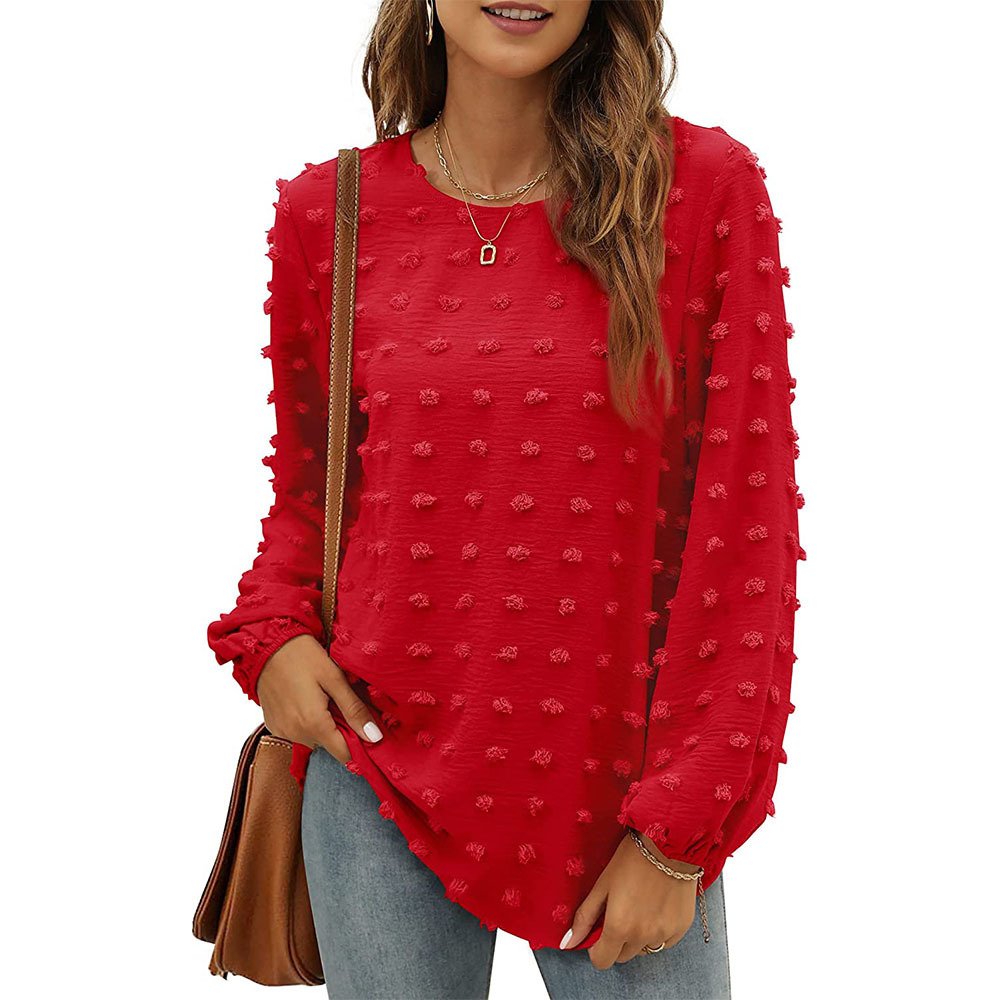 Women's Long Sleeve Blouse Spring/Fall Plain Crew Neck Daily Going Out Casual Top