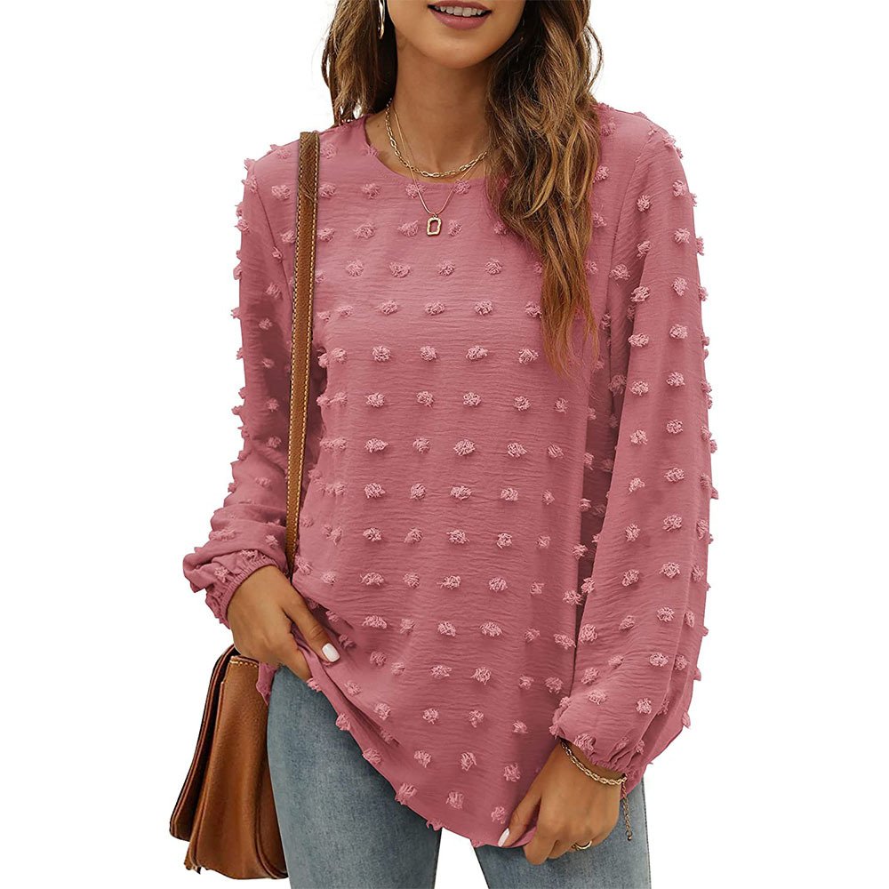 Women's Long Sleeve Blouse Spring/Fall Plain Crew Neck Daily Going Out Casual Top