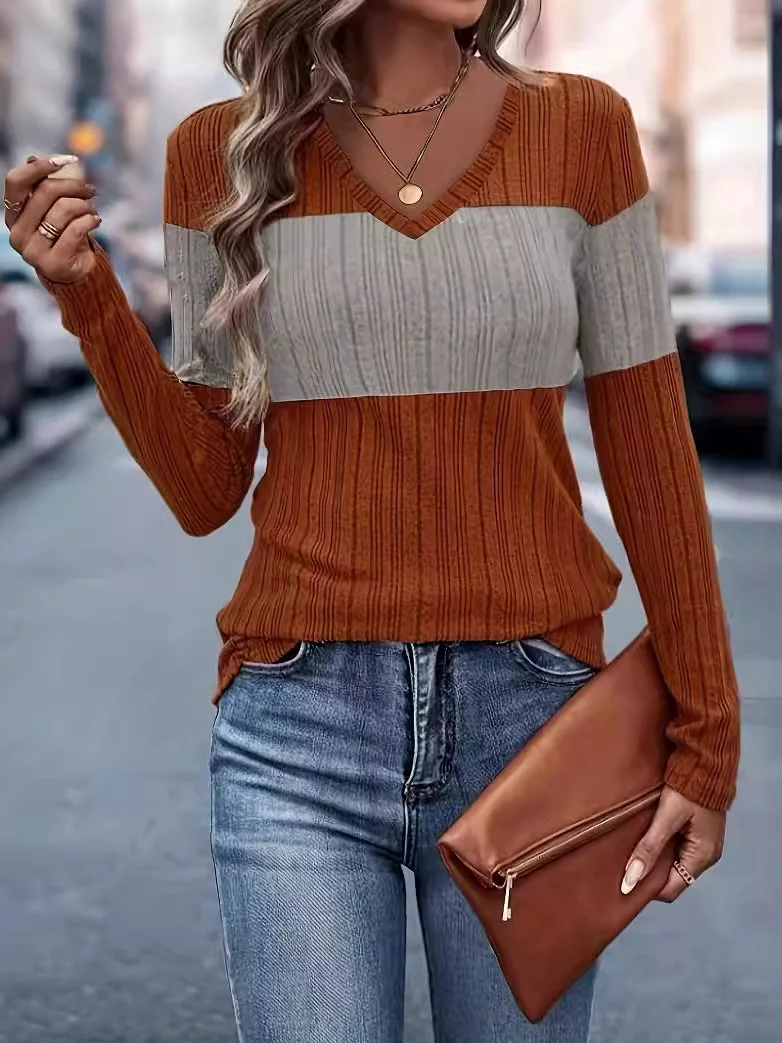 Women's Long Sleeve Blouse Spring/Fall Color Block V Neck Daily Going Out Casual Top