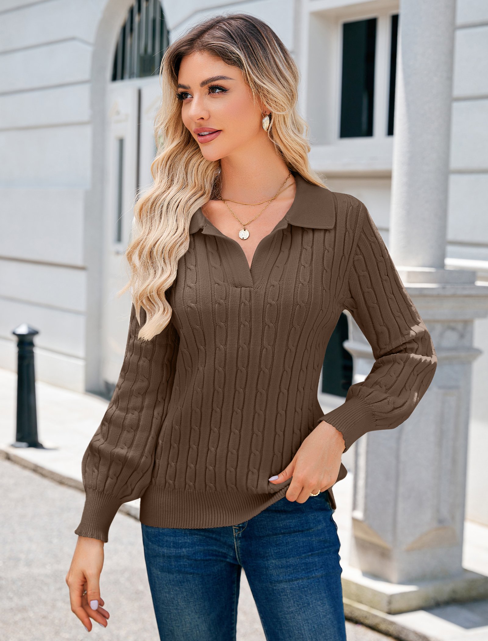 Plain Balloon Sleeve Casual Regular Fit Sweater