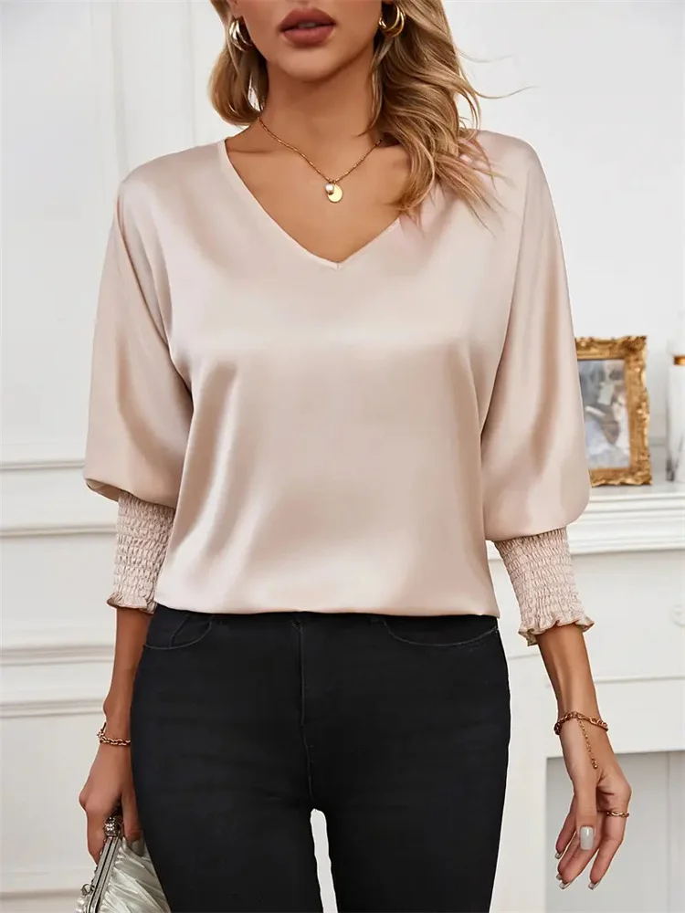 Women's Long Sleeve Blouse Spring/Fall Plain V Neck Daily Going Out Casual Top