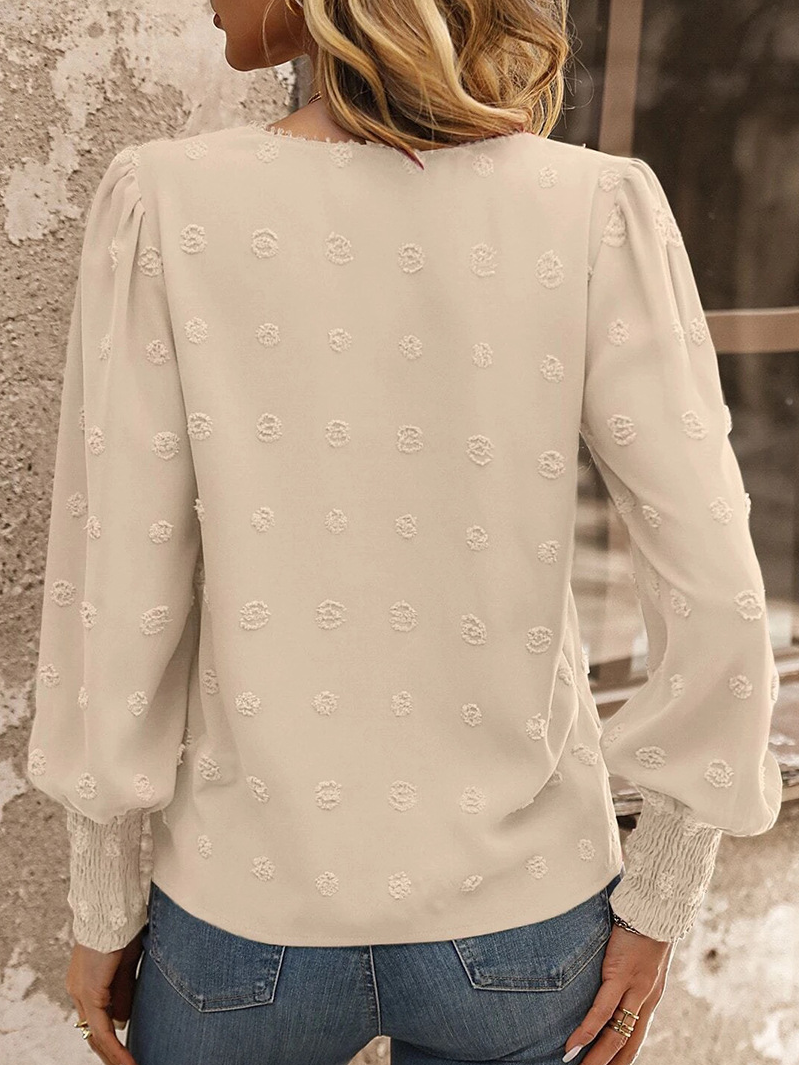 Women's Long Sleeve Blouse Spring/Fall Plain Lace Crew Neck Daily Going Out Casual Top