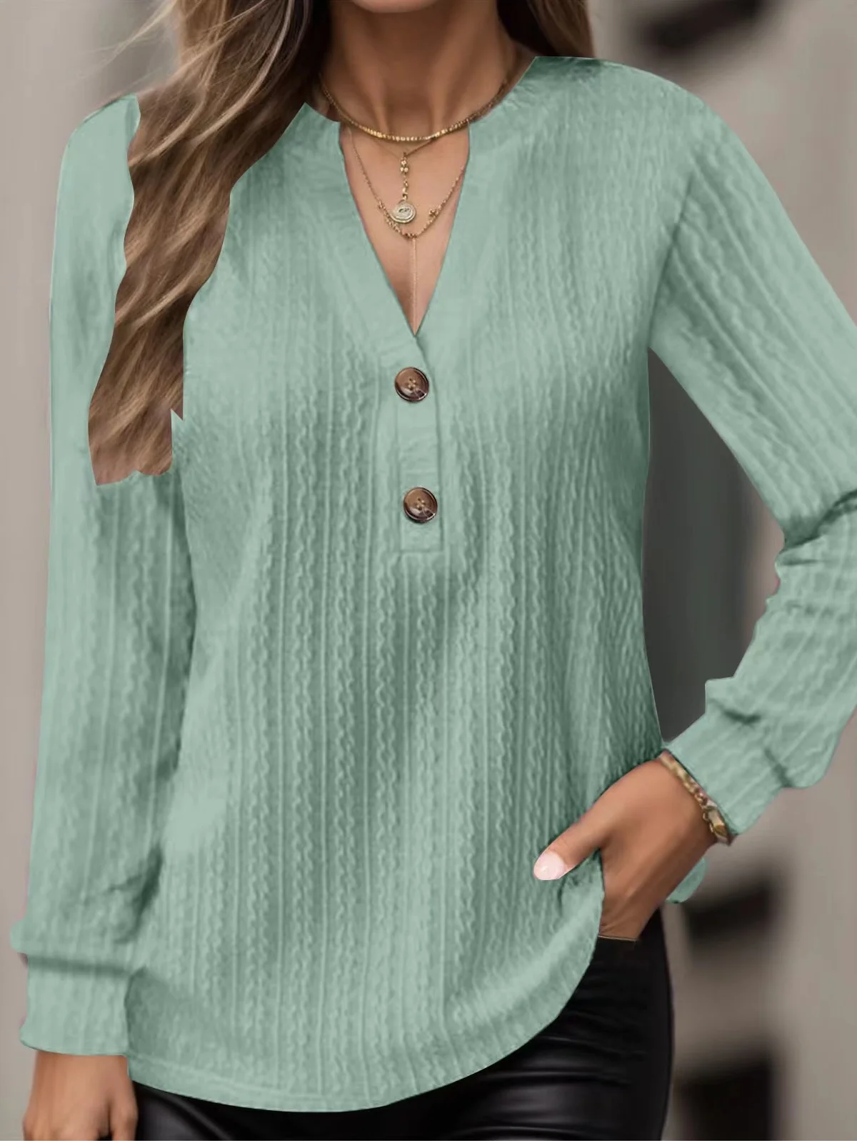 Women's Long Sleeve Blouse Spring/Fall Plain Jersey V Neck Daily Going Out Casual Top