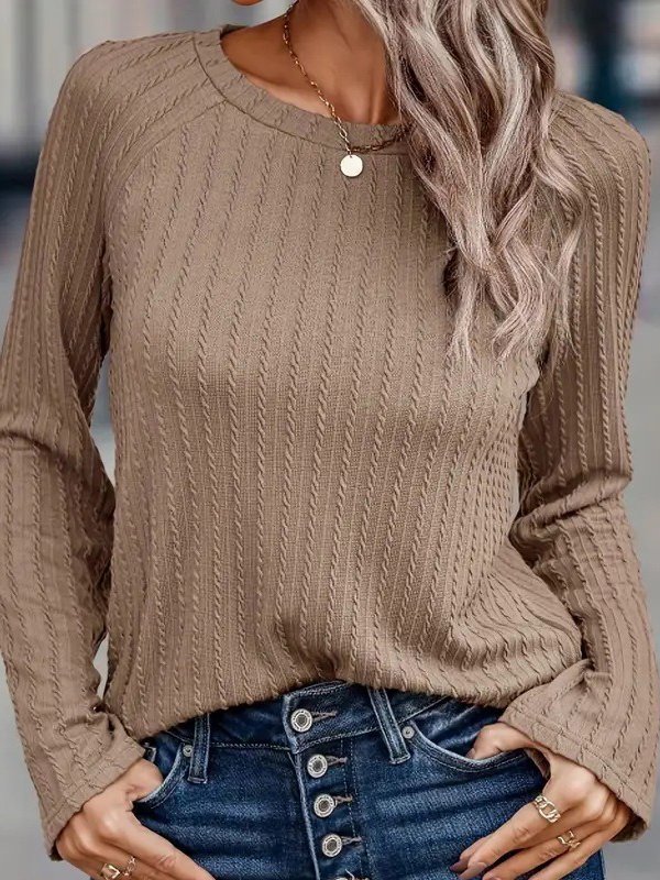 Women's Long Sleeve Blouse Spring/Fall Plain Knitted Crew Neck Daily Going Out Casual Top