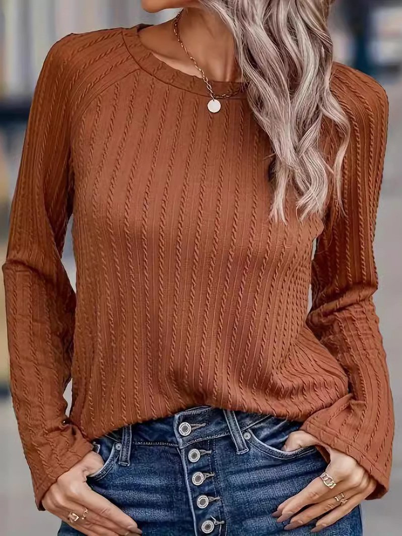 Women's Long Sleeve Blouse Spring/Fall Plain Knitted Crew Neck Daily Going Out Casual Top