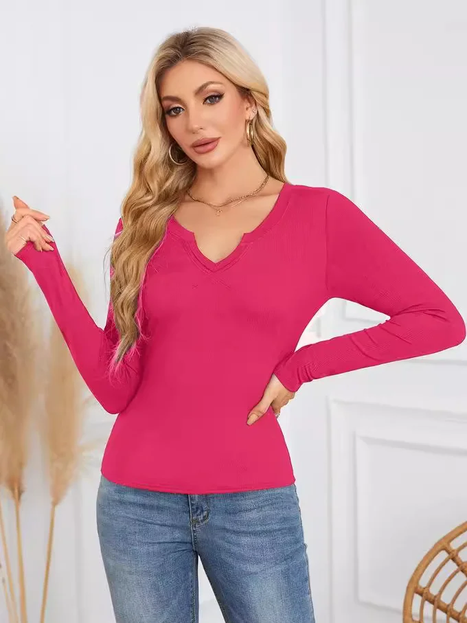 Women's Long Sleeve Tee T-shirt Spring/Fall Plain V Neck Daily Going Out Casual Top