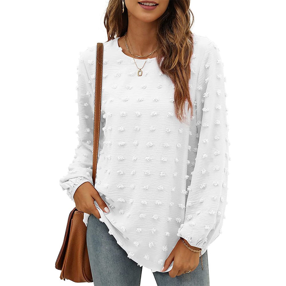 Women's Long Sleeve Blouse Spring/Fall Plain Crew Neck Daily Going Out Casual Top