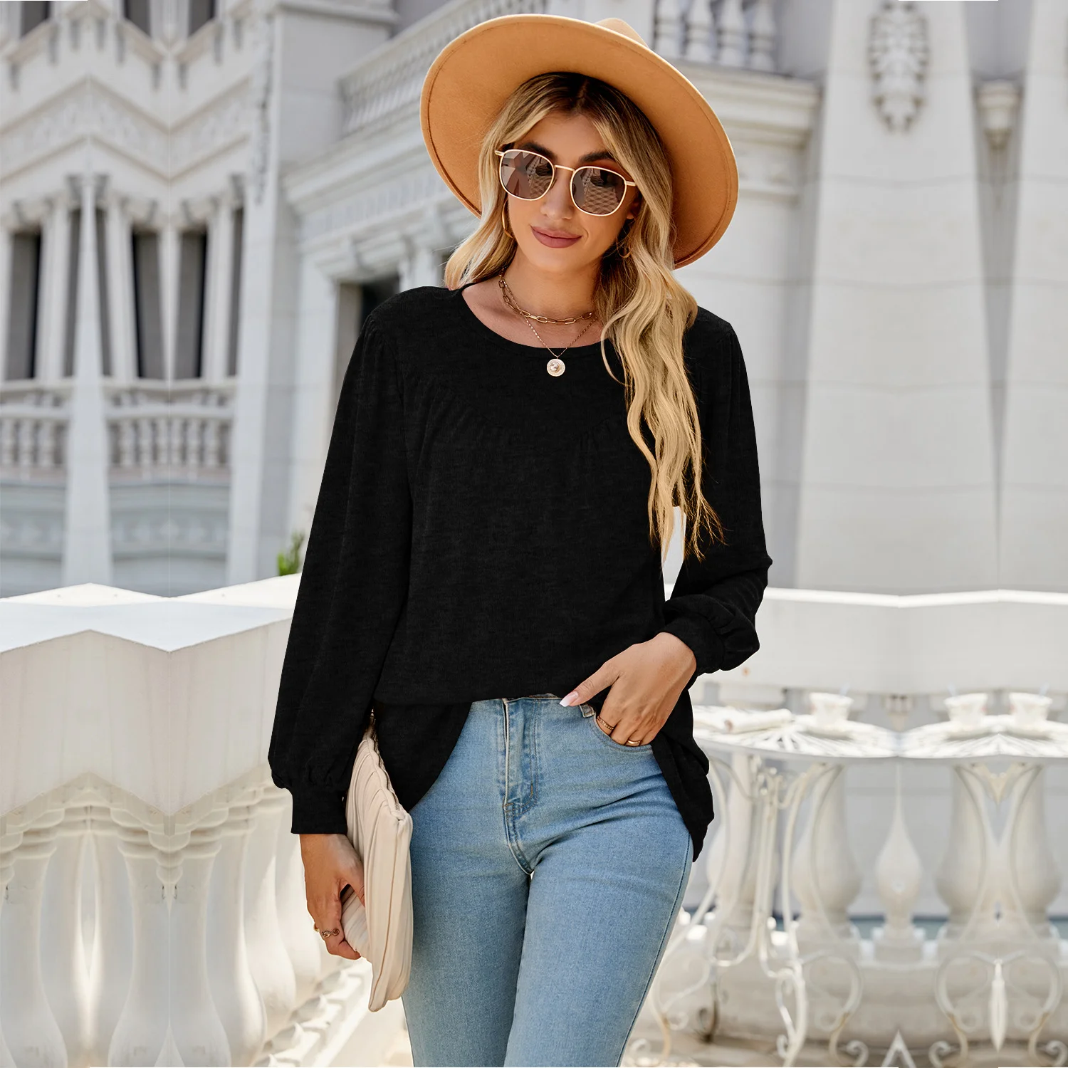 Women's Long Sleeve Blouse Spring/Fall Plain Crew Neck Daily Going Out Casual Top