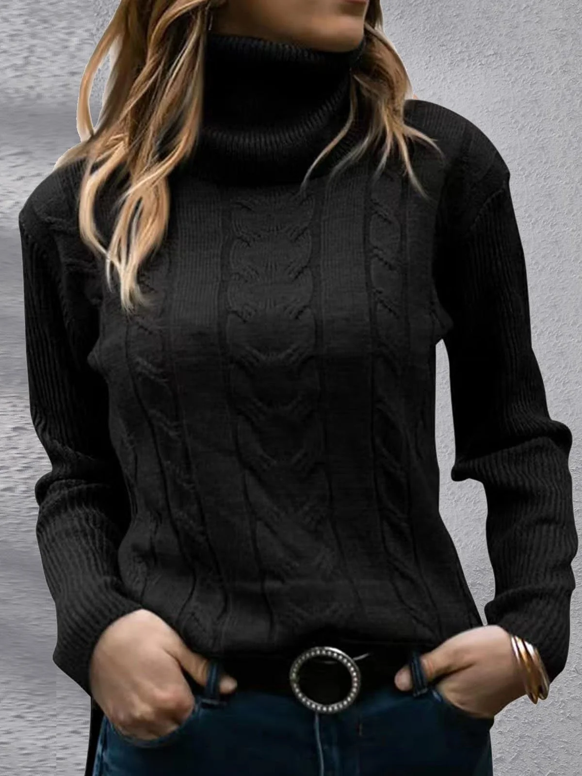 Women's Winter Plain Casual Long Sleeve Turtleneck Yarn/Wool Yarn Sweater