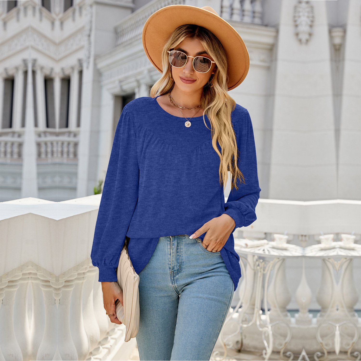 Women's Long Sleeve Blouse Spring/Fall Plain Crew Neck Daily Going Out Casual Top