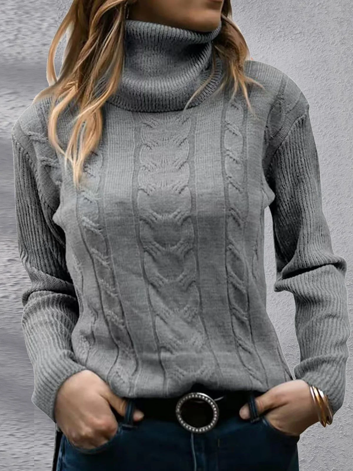 Women's Winter Plain Casual Long Sleeve Turtleneck Yarn/Wool Yarn Sweater