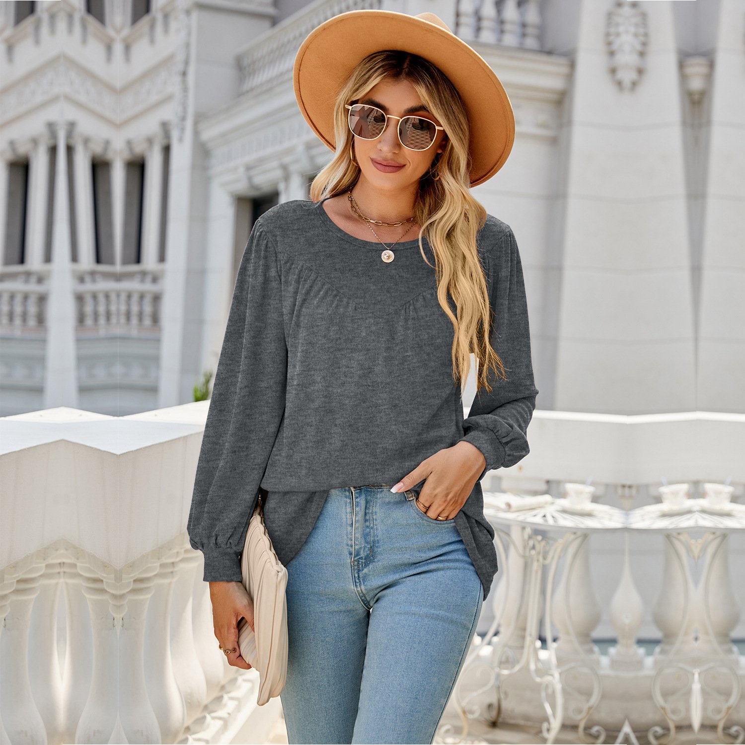 Women's Long Sleeve Blouse Spring/Fall Plain Crew Neck Daily Going Out Casual Top