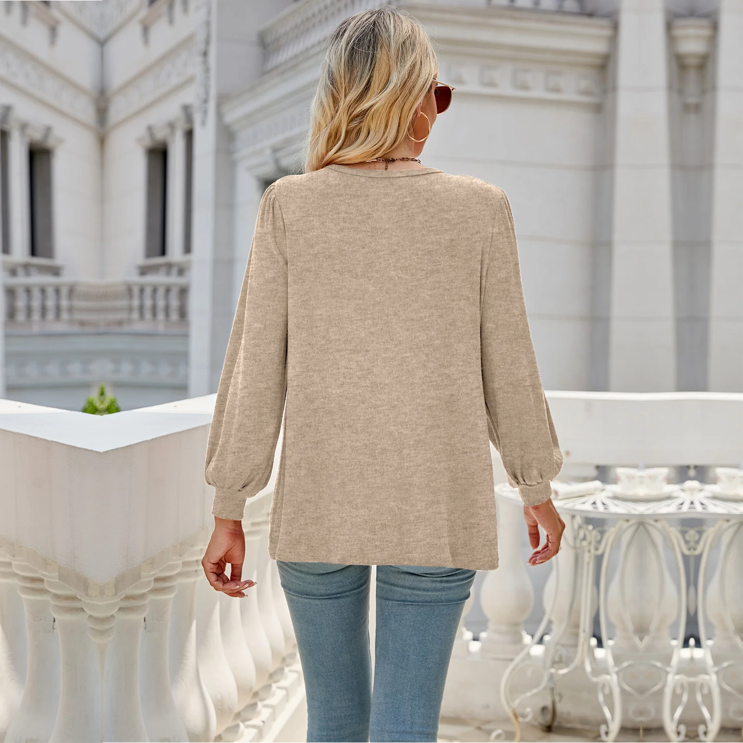 Women's Long Sleeve Blouse Spring/Fall Plain Crew Neck Daily Going Out Casual Top