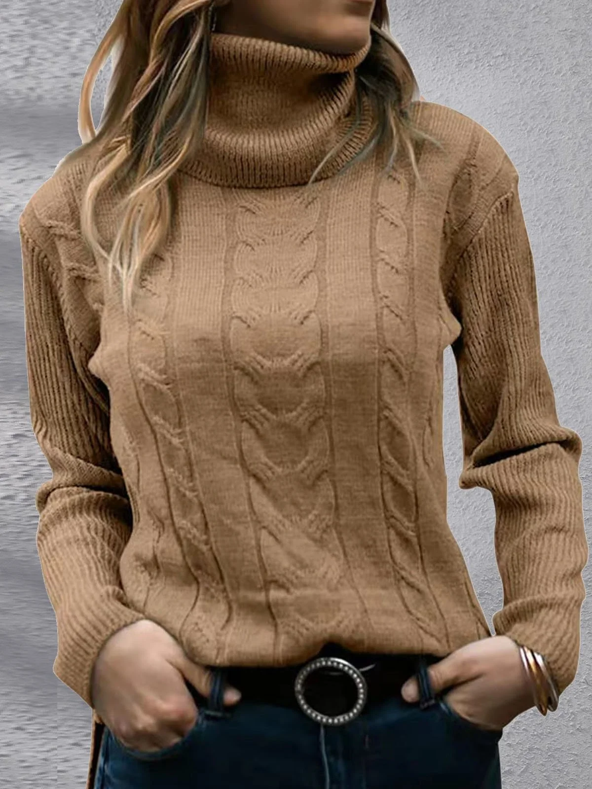 Women's Winter Plain Casual Long Sleeve Turtleneck Yarn/Wool Yarn Sweater