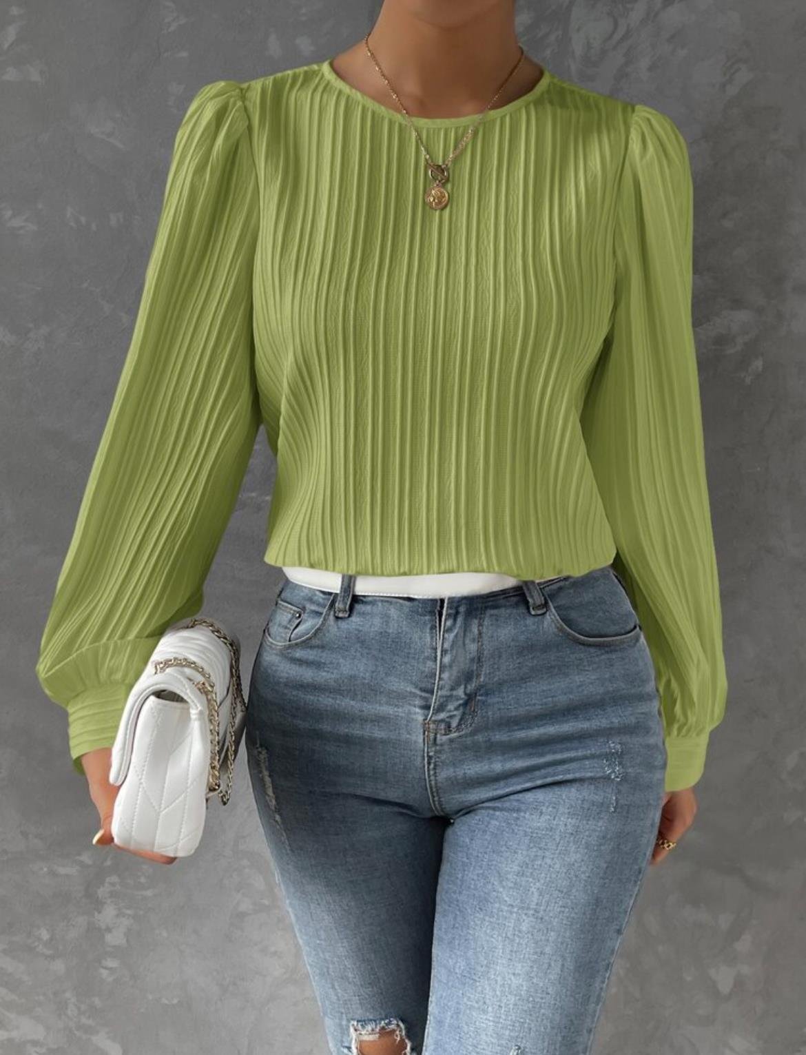 Women's Long Sleeve Blouse Spring/Fall Plain Crew Neck Daily Going Out Casual Top