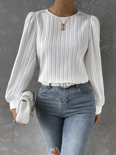 Women's Long Sleeve Blouse Spring/Fall Plain Crew Neck Daily Going Out Casual Top