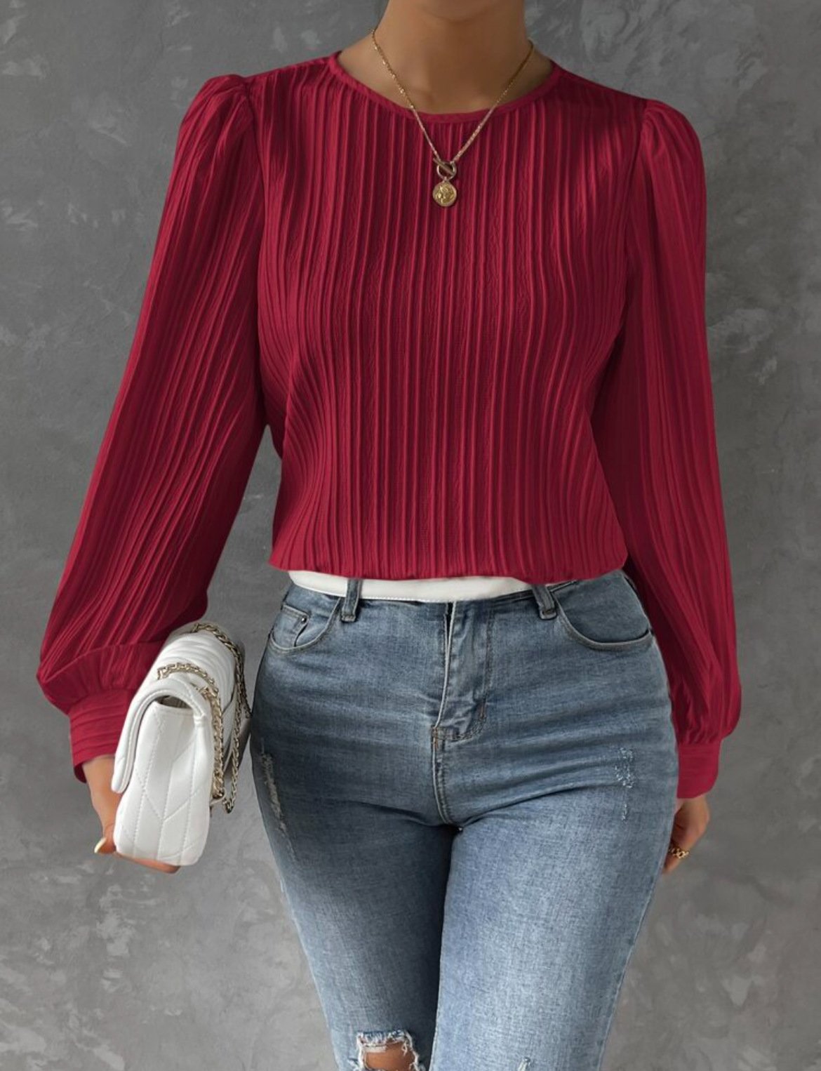 Women's Long Sleeve Blouse Spring/Fall Plain Crew Neck Daily Going Out Casual Top