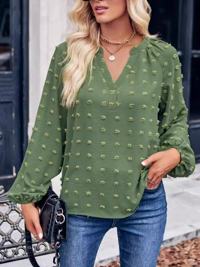 Women's Long Sleeve Blouse Spring/Fall Plain V Neck Daily Going Out Casual Top