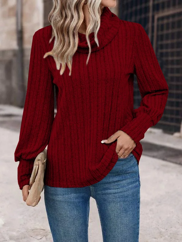 Women's Long Sleeve Blouse Spring/Fall Plain Jersey Turtleneck Daily Going Out Casual Top