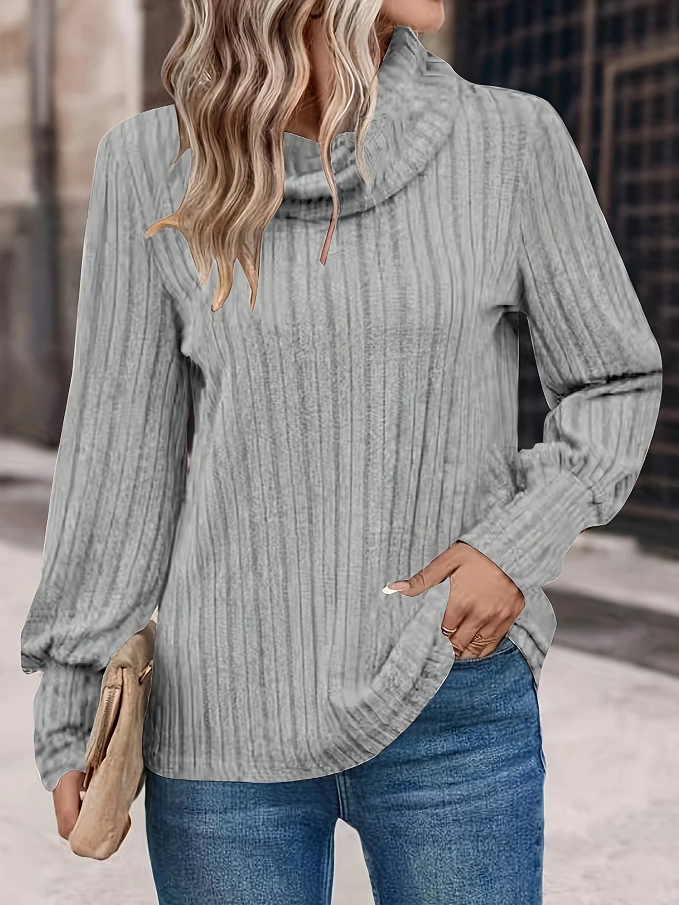 Women's Long Sleeve Blouse Spring/Fall Plain Jersey Turtleneck Daily Going Out Casual Top