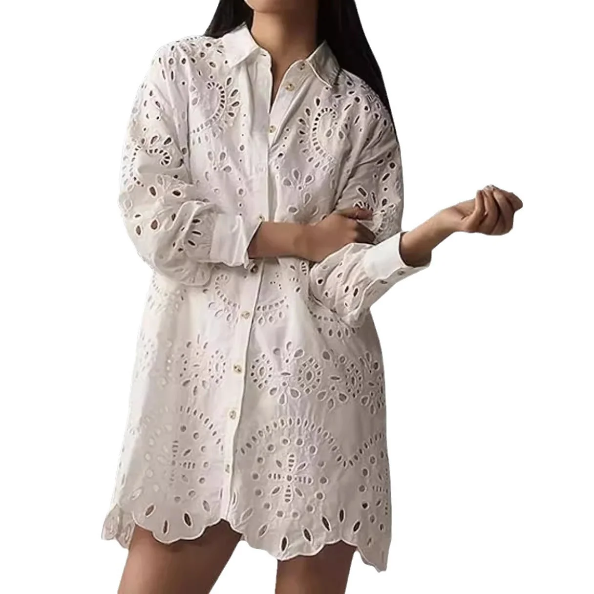 Women's Long Sleeve Shirt Spring/Fall Plain Lace Shirt Collar Daily Going Out Casual Top