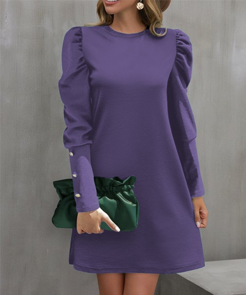 Women's Long Sleeve Spring/Fall Plain Dress Crew Neck Daily Going Out Casual Midi H-Line