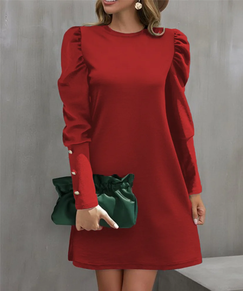 Women's Long Sleeve Spring/Fall Plain Dress Crew Neck Daily Going Out Casual Midi H-Line