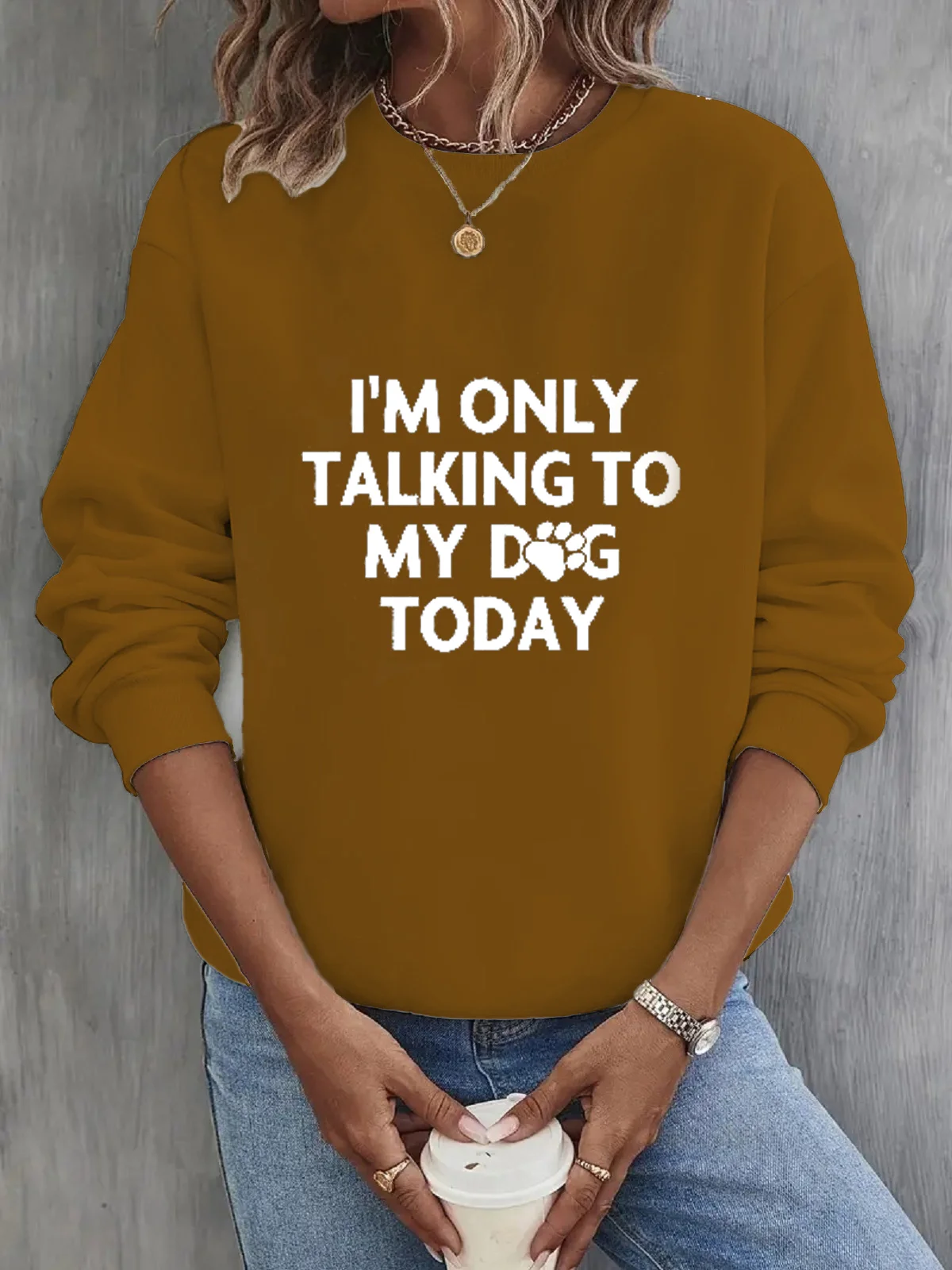 Women's Crew Neck Text Letters Casual Spring/Fall Long Sleeve Sweatshirt