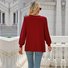 Women's Long Sleeve Blouse Spring/Fall Plain Crew Neck Daily Going Out Casual Top