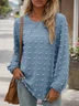 Women's Long Sleeve Blouse Spring/Fall Plain Crew Neck Daily Going Out Casual Top